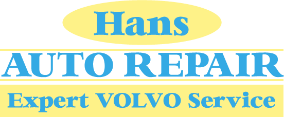 Hans Logo Large